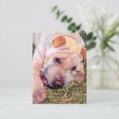 Funny Dog Postkarte (Stehend Vorderseite)