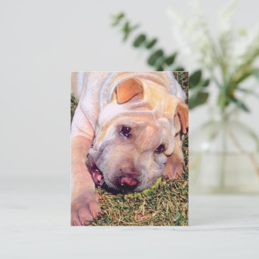 Funny Dog Postkarte (Stehend Vorderseite)