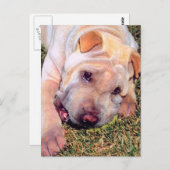 Funny Dog Postkarte (Vorne/Hinten)
