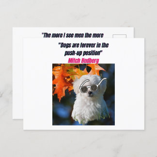 Funny Dog Quotes Postcard Postkarte