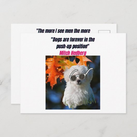 Funny Dog Quotes Postcard Postkarte (Vorne/Hinten)