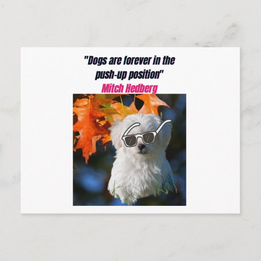 Funny Dog Quotes Postcard Postkarte (Vorderseite)