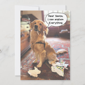 Funny Dog Santa I kann alles erklären Weihnachten