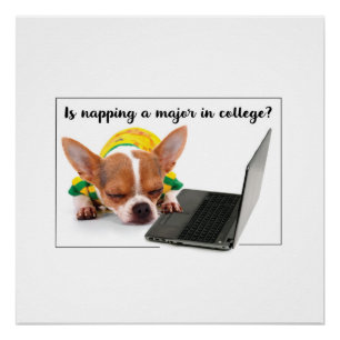 Funny Dog Schlafen auf Laptop-Computer Poster