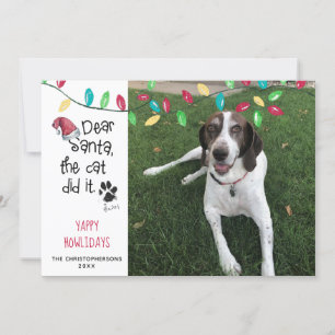 Funny Dog Sprichwort Holiday Lights Foto Name Feiertagskarte