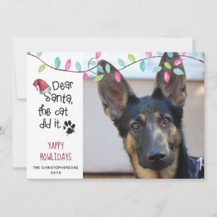 Funny Dog Sprichwort Pastel Lights Foto Feiertagskarte