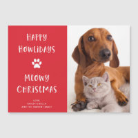 Funny Dog und Katze mit Foto | Weihnachtsfeiertag