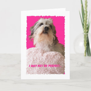 Funny Dog Valentine - All Yours Valentine Feiertagskarte
