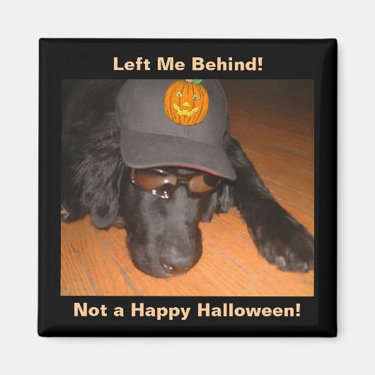 Funny Dog Verlassen hinter diesem Halloween Magnet (Vorne)