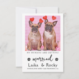 Funny Dog Wedding Invitation Save The Date