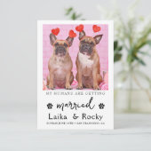 Funny Dog Wedding Invitation Save The Date (Stehend Vorderseite)