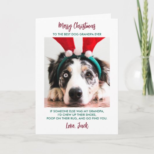 Funny Dog Weihnachten Granddog Custom Pet Foto (Vorderseite)