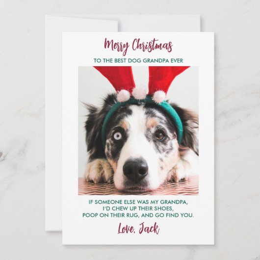 Funny Dog Weihnachten Großeltern Custom Pet Foto (Vorderseite)