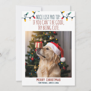 Funny Dog Weihnachts-Foto mit Individuellen Namen Feiertagskarte