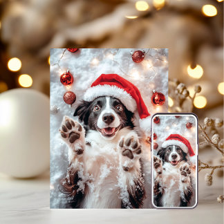 Funny Dog Weihnachtskarten Feiertagskarte