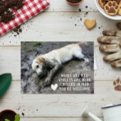 Funny Dog Welppy Valentine's Day Meme