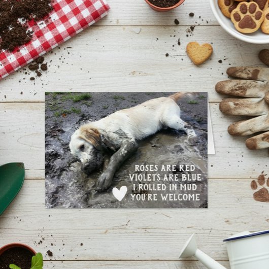 Funny Dog Welppy Valentine's Day Meme