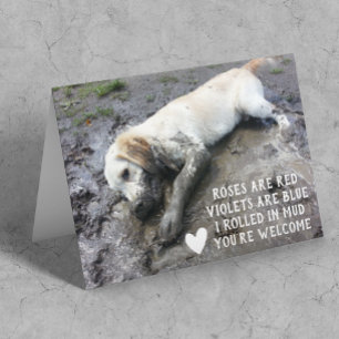 Funny Dog Welppy Valentine's Day Meme