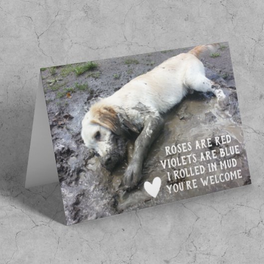 Funny Dog Welppy Valentine's Day Meme