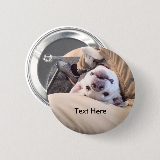 Funny Dog wird nicht zu einem komischen Foto Button (Vorne & Hinten)