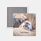 Funny Dog wird nicht zu einem komischen Foto Magnet (Vorderseite/Rückseite)