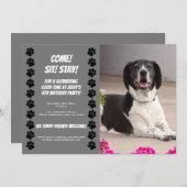 Funny Doggy Geburtstagsparty Einladung (Vorne/Hinten)