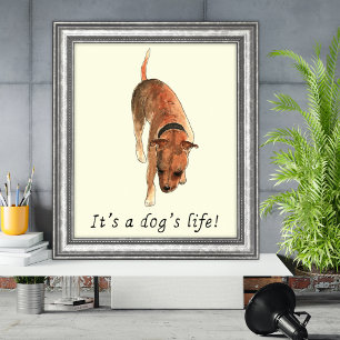 Funny Dogs Art Maggiore Poster