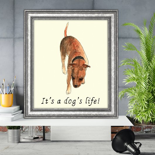 Funny Dogs Art Maggiore Poster