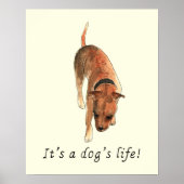 Funny Dogs Art Maggiore Poster (Vorne)