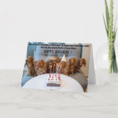Funny Dogs Birthday Greeting Card Karte (Vorderseite)
