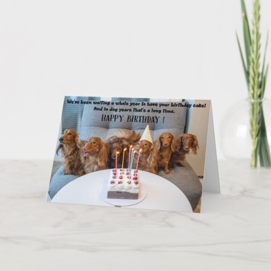 Funny Dogs Birthday Greeting Card Karte (Vorderseite)
