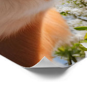 Funny Dogs Breads Badezimmer Hillarious Wall Art Poster (Ecke)