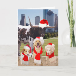 Funny Dogs Frohe Weihnachten aus Houston