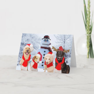 Funny Dogs Season's Greetings Feiertagskarte