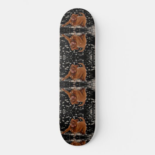 Funny Dogs Skateboard (Vorderseite)