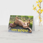 Funny dogue de bordeaux Geburtskarte Karte (Gelbe Blume)
