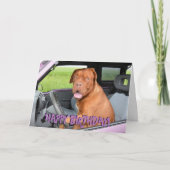Funny dogue de bordeaux Geburtskarte Karte (Vorderseite)