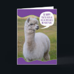 Funny Dolly Llama Birthday Wisdom Karte<br><div class="desc">Genau wie der Dalai Lama hat auch dieser Dolly Lama seine eigene Philosophie über Leben und Weisheit,  die sie mit der Welt zu teilen will. Sie ist nicht nur klug,  sie ist auch niedlich. Spaß Geburtstagskarte für jeden,  der nicht begeistert ist,  älter zu werden.</div>