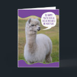 Funny Dolly Llama Birthday Wisdom Karte<br><div class="desc">Genau wie der Dalai Lama hat auch dieser Dolly Lama seine eigene Philosophie über Leben und Weisheit,  die sie mit der Welt zu teilen will. Sie ist nicht nur klug,  sie ist auch niedlich. Spaß Geburtstagskarte für jeden,  der nicht begeistert ist,  älter zu werden.</div>