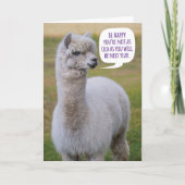 Funny Dolly Llama Birthday Wisdom Karte (Vorderseite)
