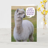 Funny Dolly Llama Birthday Wisdom Karte (Gelbe Blume)