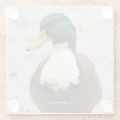 Funny Domestic Mallard Duclair Bibbed Odd Duck Glasuntersetzer (Rückseite)