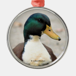 Funny Domestic Mallard Duclair Bibbed Odd Duck Ornament Aus Metall