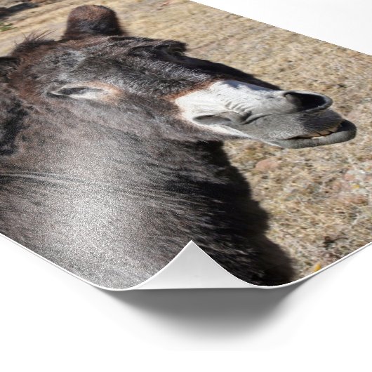 Funny Donkey Fotodruck (Ecke)