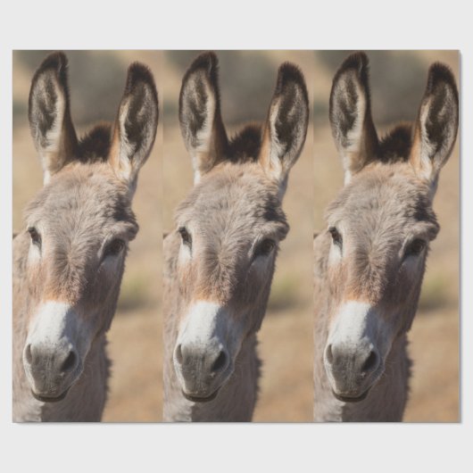 Funny Donkey Gefecht Geschenkpapier (Flach)