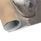 Funny Donkey Gefecht Geschenkpapier (Rolleneckpunkt)