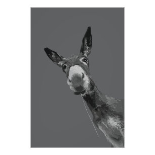 Funny Donkey Grayscale Portrait Kunst, Dichtung un Fotodruck
