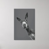 Funny Donkey Grayscale Portrait Kunst, Dichtung un Leinwanddruck (Vorderseite)