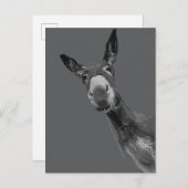 Funny Donkey Grayscale Portrait Kunst, Dichtung un Postkarte (Vorne/Hinten)