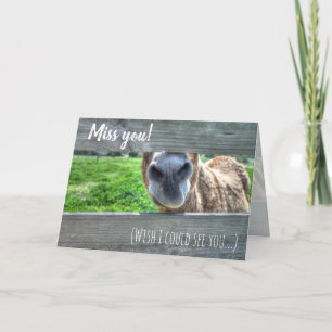 Funny Donkey "I Miss You" Leere Dankeskarte